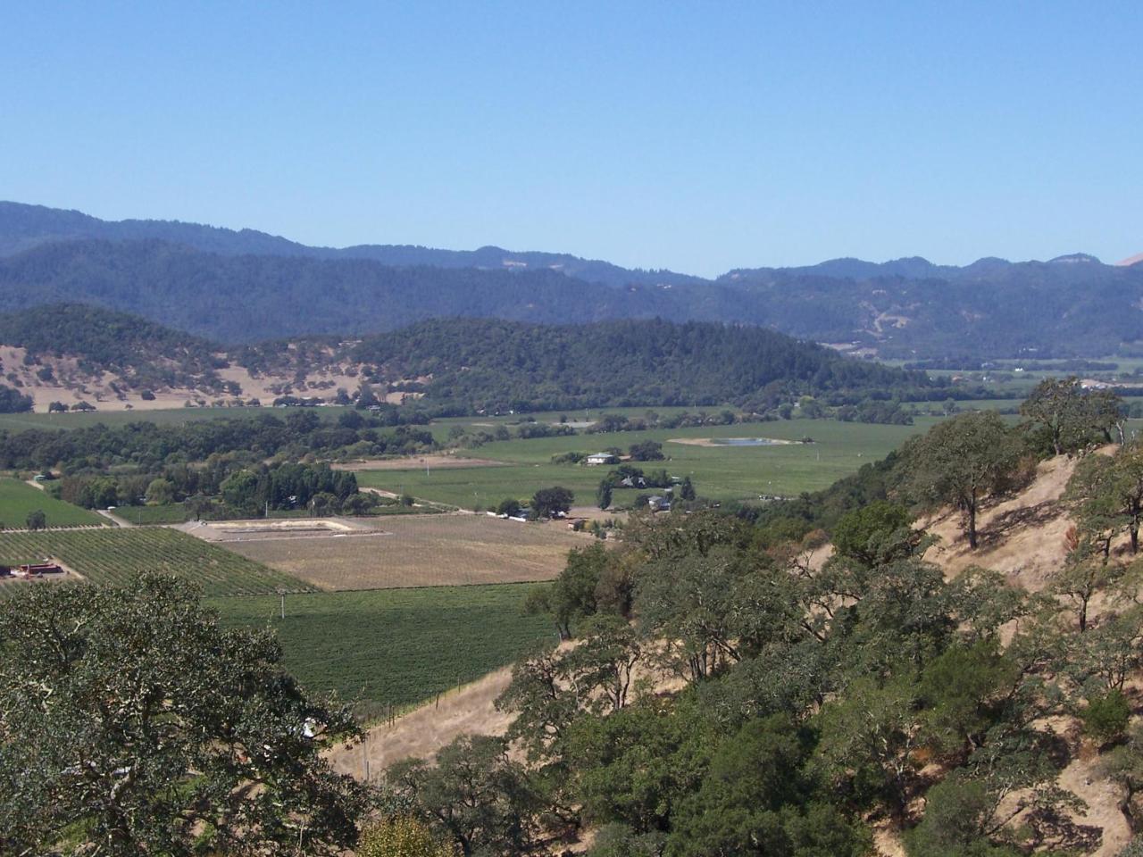 Poetry Inn Napa Valley Юнтвілл Екстер'єр фото